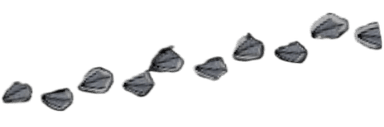 duck_feet